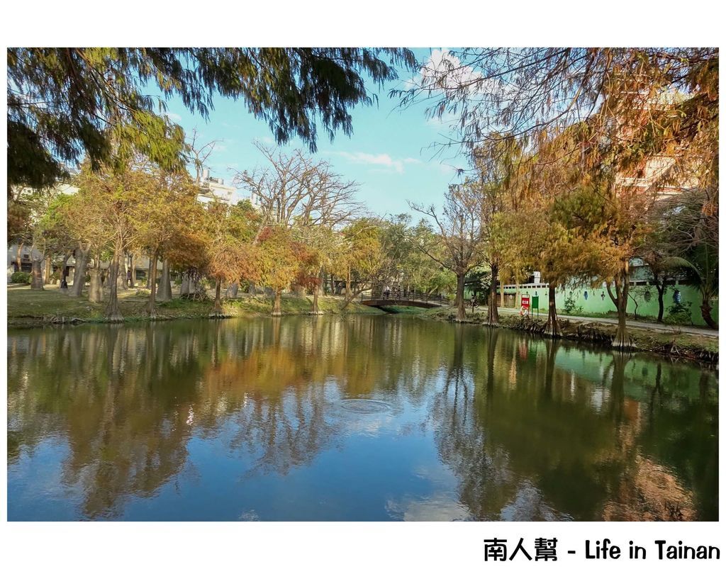 巴克禮公園 巴克禮公園