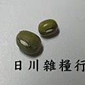 毛綠豆和綠豆1by1.JPG