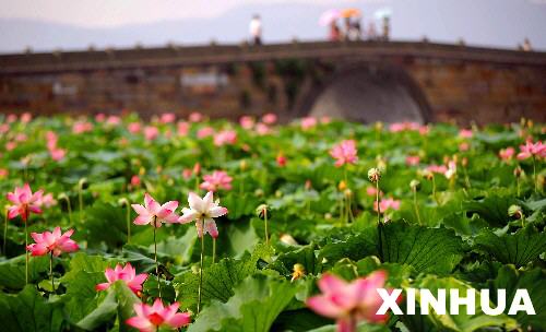 xin_5720705111317187393934.jpg xin_5720705111317187393934.jpg