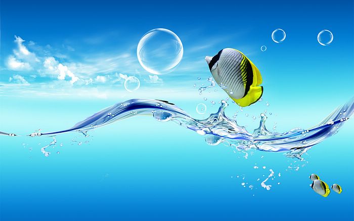 Creative_design_Summer_splashing_and_Fish.jpg.jpeg Creative_design_Summer_splashing_and_Fish.jpg.jpeg