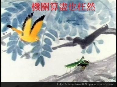 4553187273236199861.jpg 4553187273236199861.jpg