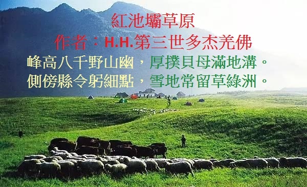 3f10000f05e04c5c98e[1].jpg