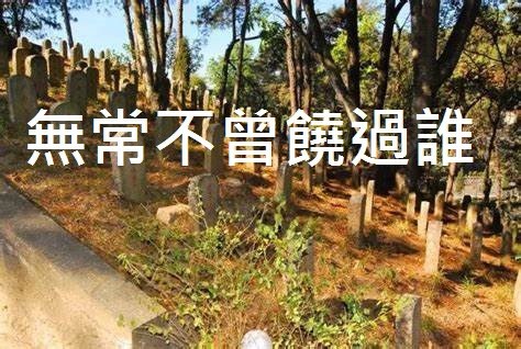 OIPQA1AM7YZ.jpg OIPQA1AM7YZ.jpg