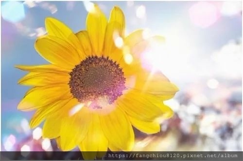 我親身見證了臥床十多個月的 八旬老人重新坐立起來