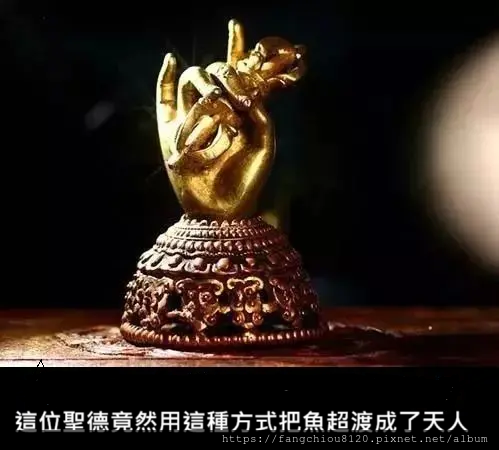 這位聖德竟然用這種方式把魚超渡成了天人