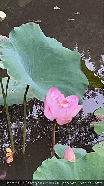 與其吃齋十年，不如改掉習氣