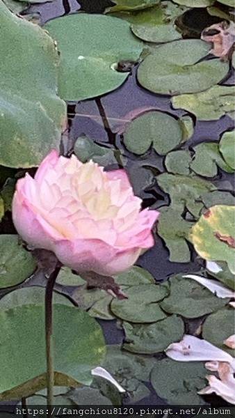 與其吃齋十年，不如改掉習氣