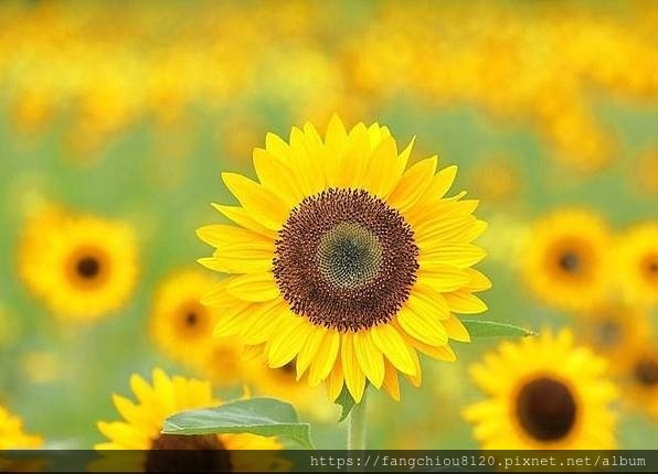 學佛修行、聞法的功德有多大？