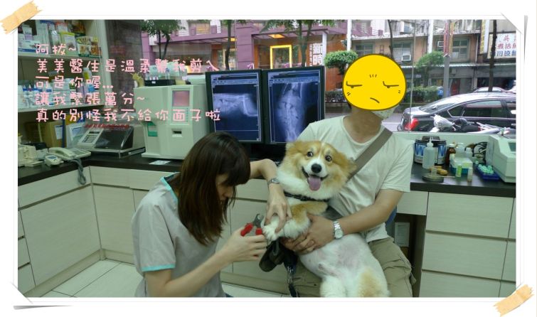 22.jpg 22.jpg