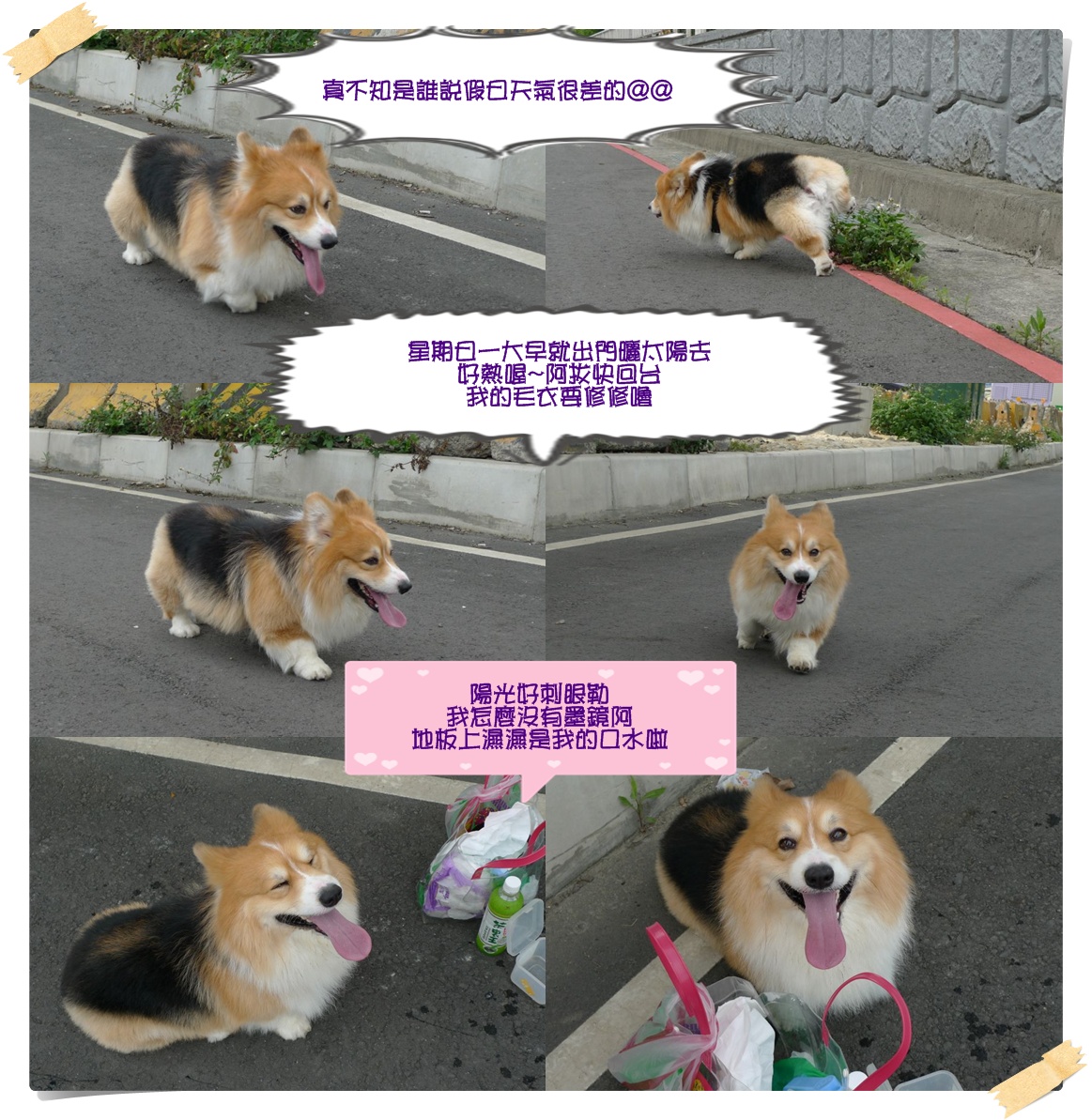 TT.jpg TT.jpg