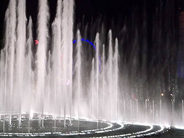 DSCF3611 DSCF3611