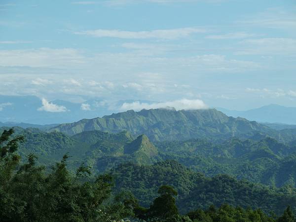 20120430 003酒桶山法蝶