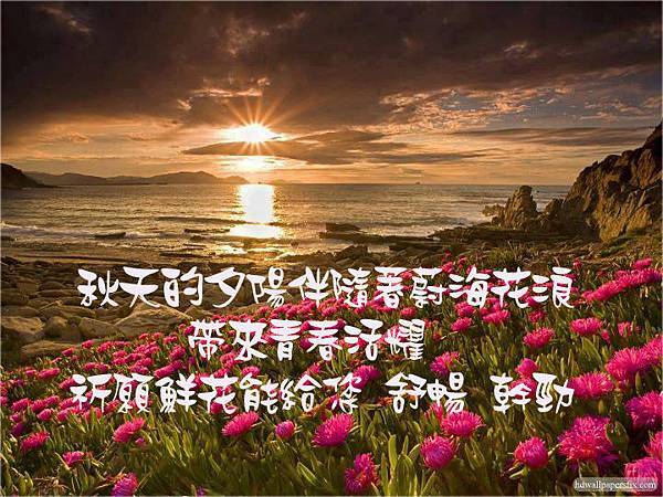 夕陽與花.jpg