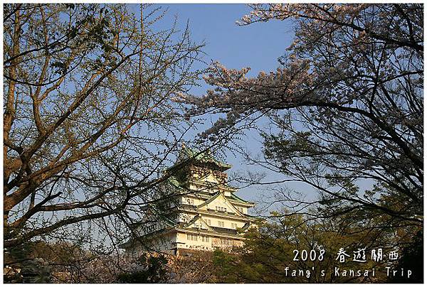 茂密枝葉中遠眺大阪城