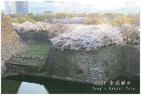 櫻花護城河