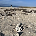 IMG_9940.JPG
