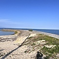 IMG_9938.JPG