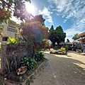 LINE_ALBUM_20240219浜比嘉島_240722_7.jpg