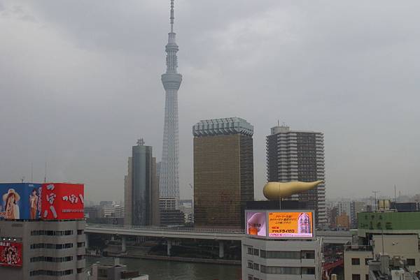 201310日光東京 019.jpg