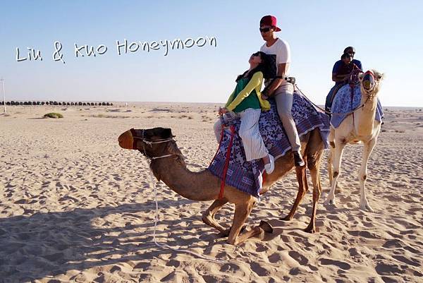 thumb_IMG_2986_1024.jpg thumb_IMG_2986_1024.jpg