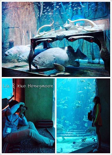 thumb_IMG_3066_1024.jpg thumb_IMG_3066_1024.jpg