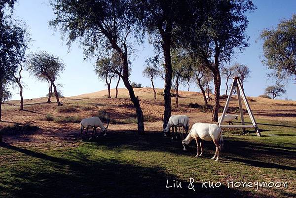 thumb_IMG_3088_1024.jpg thumb_IMG_3088_1024.jpg