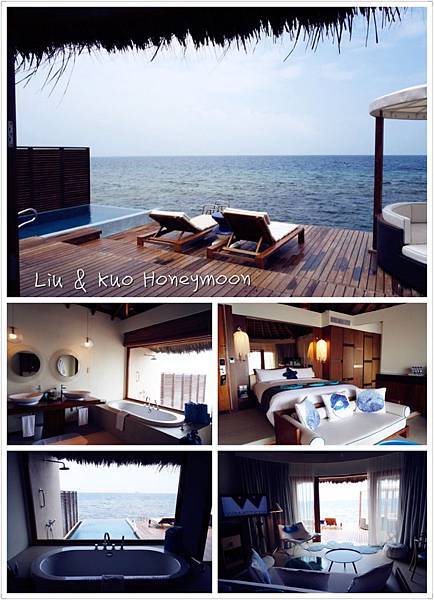 thumb_IMG_3303_1024.jpg thumb_IMG_3303_1024.jpg