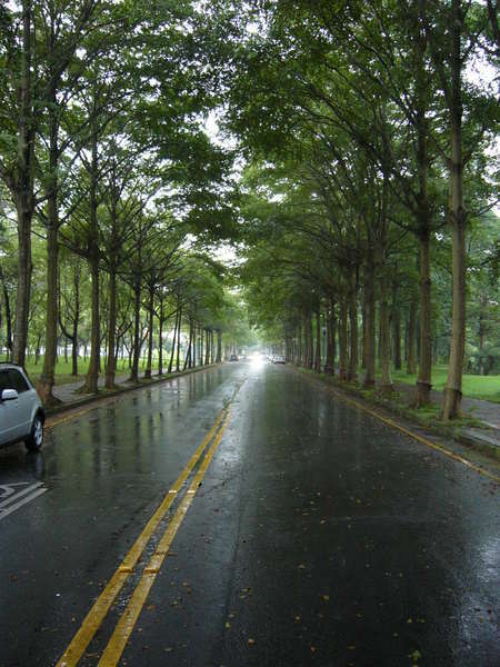 雨天的校園