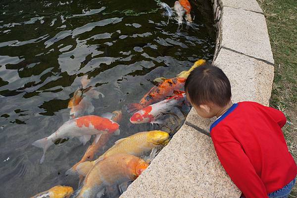 良祝苗圃親子庭園餐廳 025