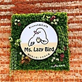 Ms.Lazy Bird 懶的鳥小姐