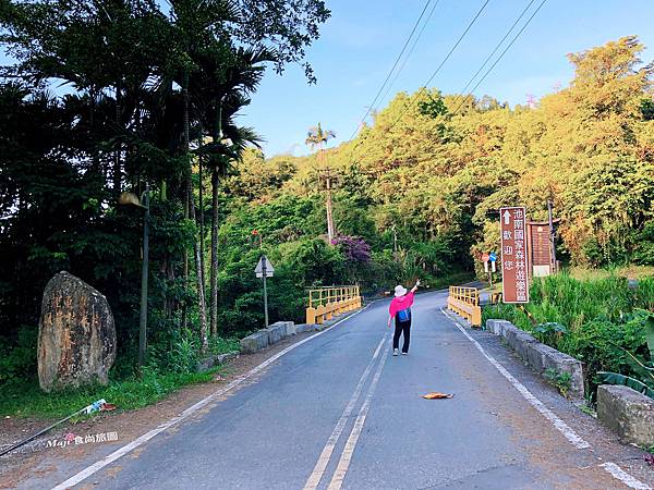 池南森林遊樂區