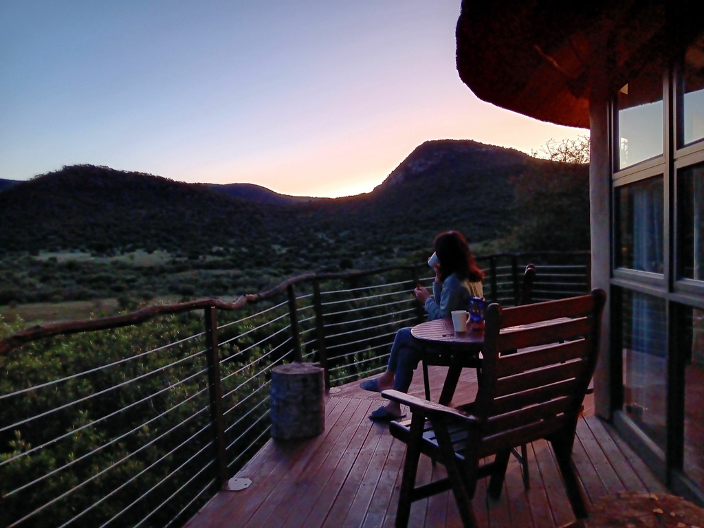 2024.06.09 南非 Day7 (Addo Eleph