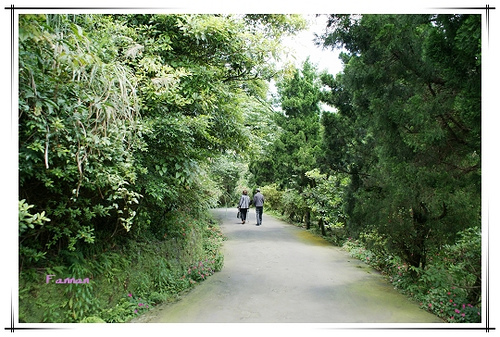 陽明山,食養山房,食養文化山房