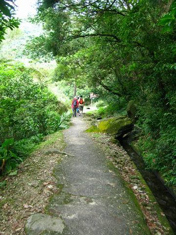 古道入口前的水圳與水泥小路，水圳的水清透冰涼且流速很快呢