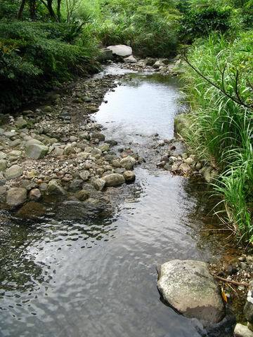 水泥橋的左邊（面對古道的方向），溪水很清澈冰涼，超想下去玩水的