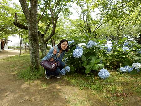 佐賀唐津城繡球花-石上日文商務翻譯.JPG