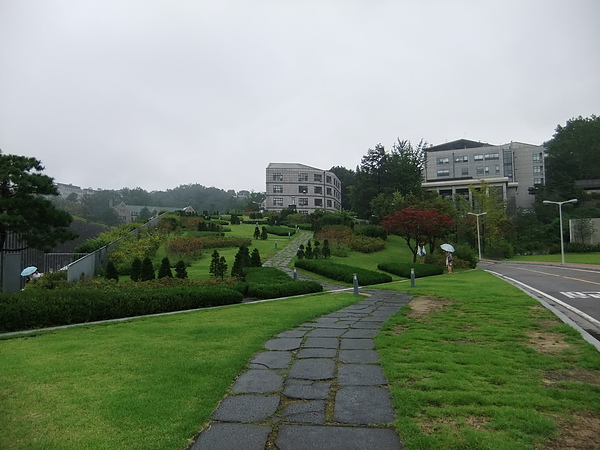 DSCF0898.JPG