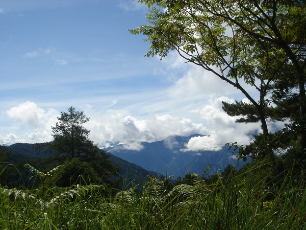 觀賞風景