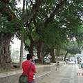 DSC07089