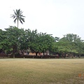 DSC07092