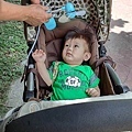 IMG_8085.jpg