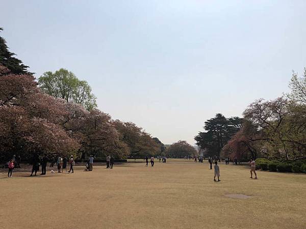 IMG_8589.jpg