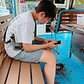 IMG_0745.jpg