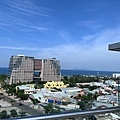 IMG_2319.jpg