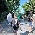 IMG_2322.jpg
