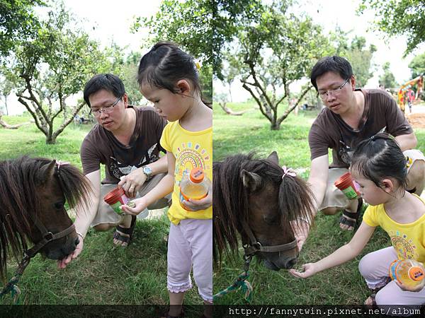 小馬宣蓉就比較敢餵了！