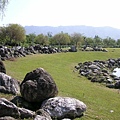 湖畔餐廳對面的草地