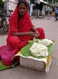 jasmine flower weaver.small.jpg