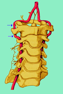 c121