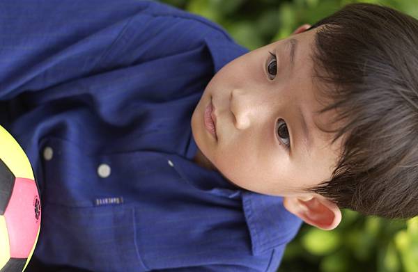 2024~11月~嗨2024龍年您好~繽紛泰公休日~祝~平安